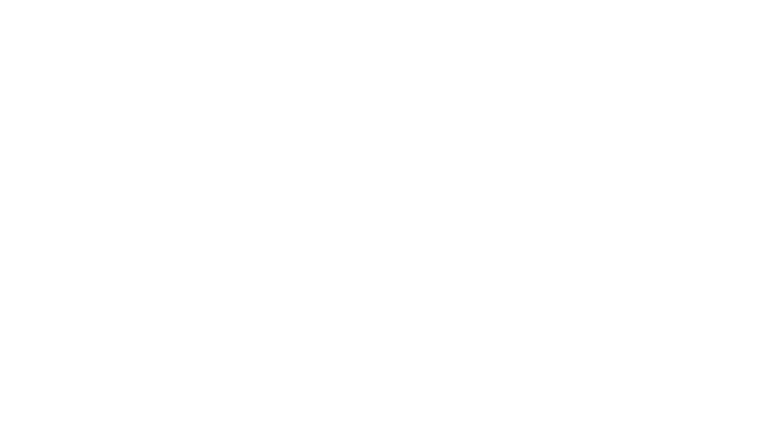 Aniball UK White Logo