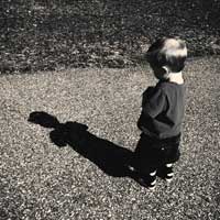 Aniball Review by Emilie